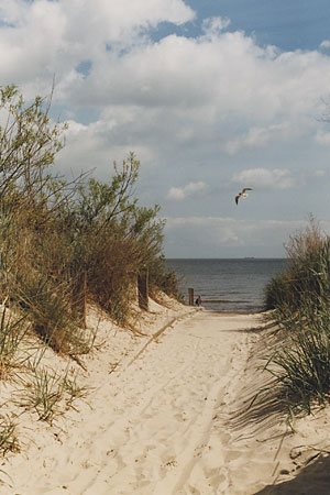 Ostsee Meer Usedom Strandurlaub